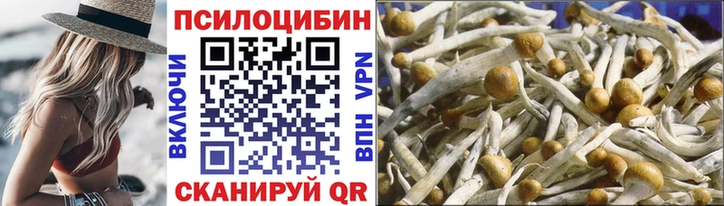 Галлюциногенные грибы мицелий  Тавда 