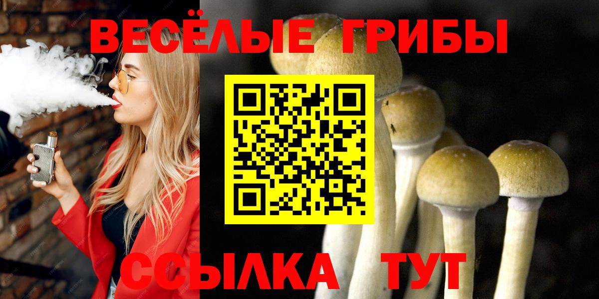 Тавда  Галлюциногенные грибы прущие грибы  Вход с VPN 