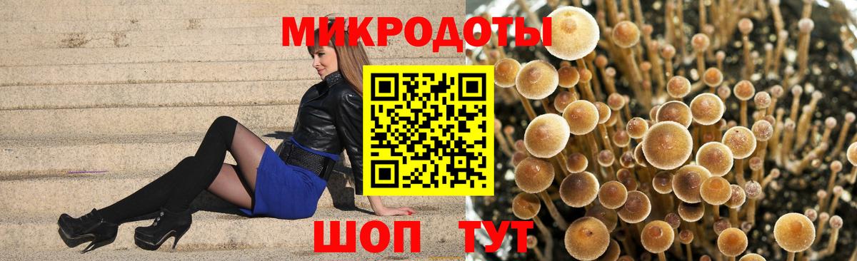 Галлюциногенные грибы Magic Shrooms Тавда