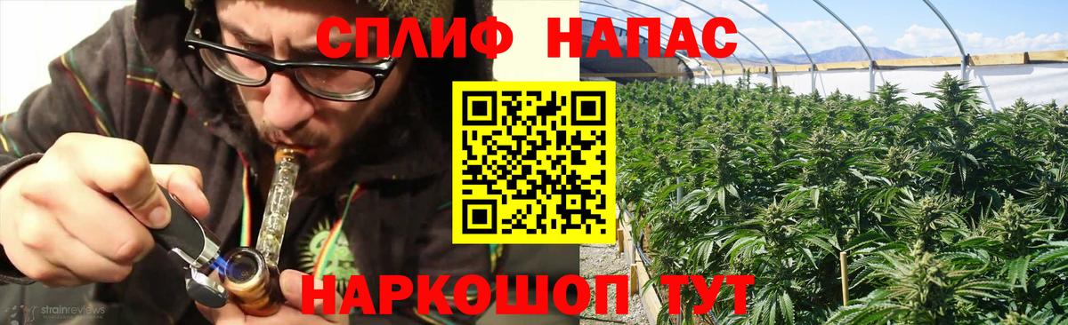Бошки марихуана индика  Бошки марихуана Ganja  Канабис сатива  Вход с VPN  Тавда  Каннабис Bruce Banner 